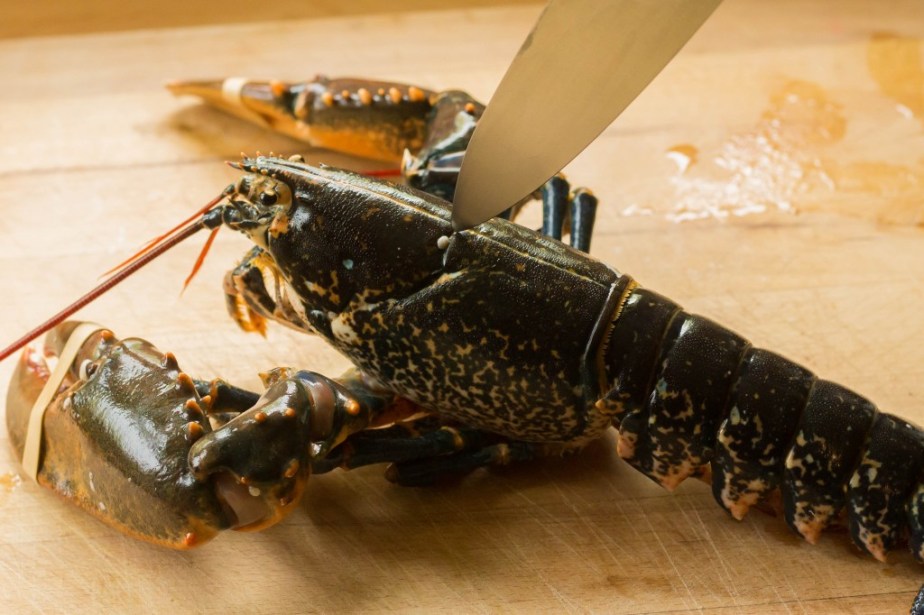 Homard-plancha-au-rhum-vieux-1-1024x682.jpg